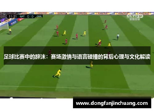 足球比赛中的辞沫：赛场激情与语言碰撞的背后心理与文化解读