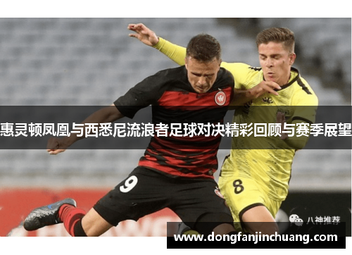 惠灵顿凤凰与西悉尼流浪者足球对决精彩回顾与赛季展望