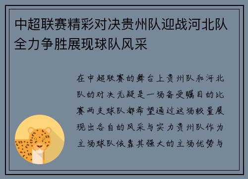 中超联赛精彩对决贵州队迎战河北队全力争胜展现球队风采