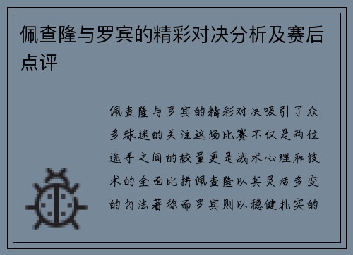 佩查隆与罗宾的精彩对决分析及赛后点评