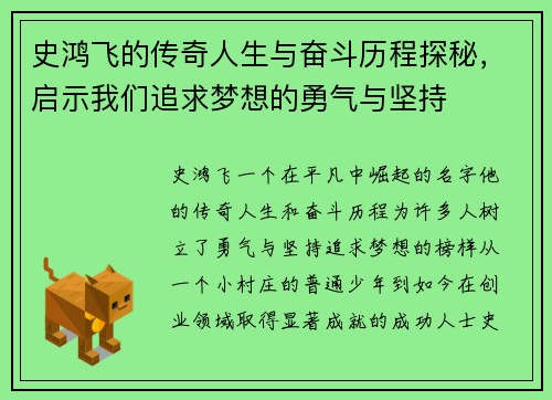 史鸿飞的传奇人生与奋斗历程探秘，启示我们追求梦想的勇气与坚持